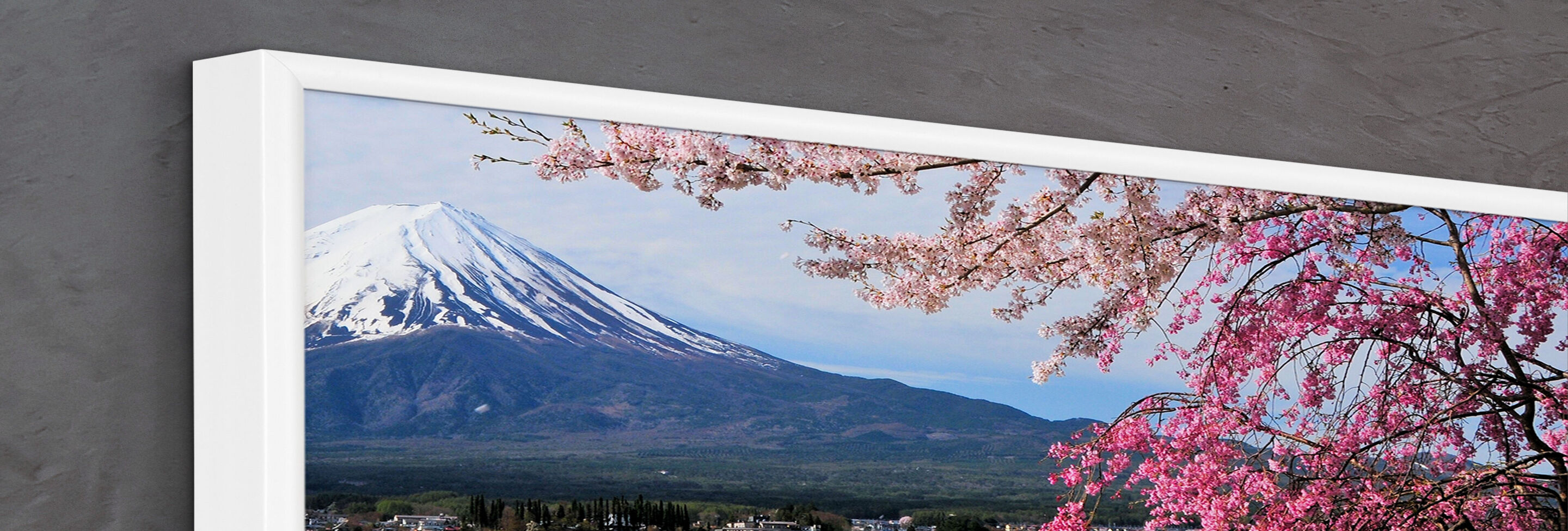 Nádherný nástenný obraz Mt. Fuji, obklopený rozkvitnutými čerešňami.