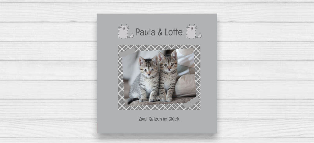 Dve milé mačky Paula a Lotte sú na fotoknihe. Zvedavo pozerajú s radosťou a dizajn knihy je svetlosivý s nežným rámikom.