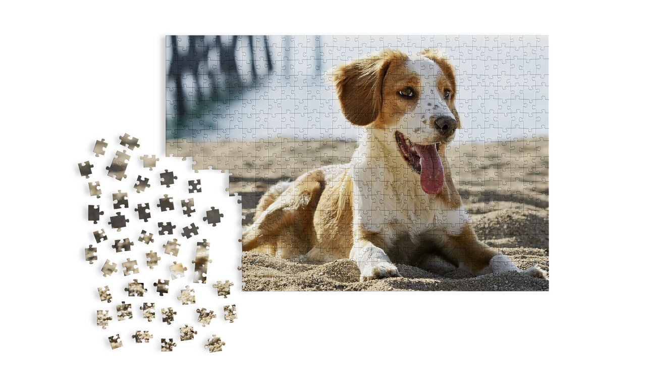Puzzle so psom na piesku na pláži, v popredí sú kúsky puzzle