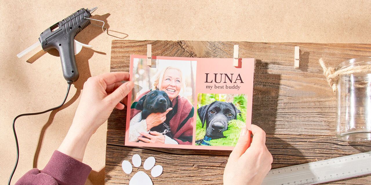 Osoba vytvára láskavú fotokoláž s fotkami svojho psa Luny.