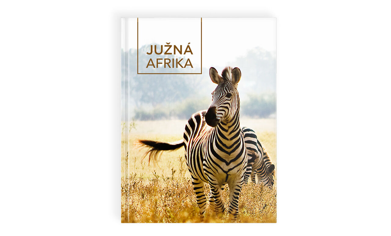 Zebra stojí na lúke v Južnej Afrike